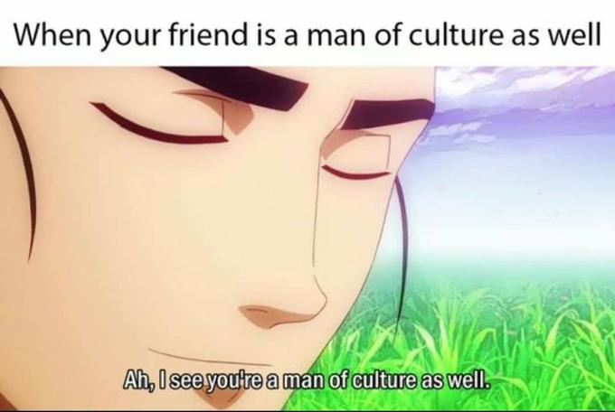 Featured image of post Ah I See You&#039;re A Man Of Culture As Well Response