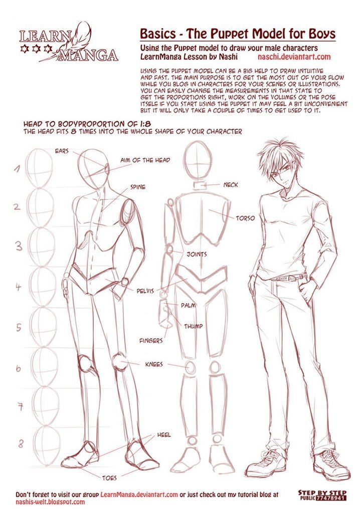 Featured image of post Anime Body Reference Boy