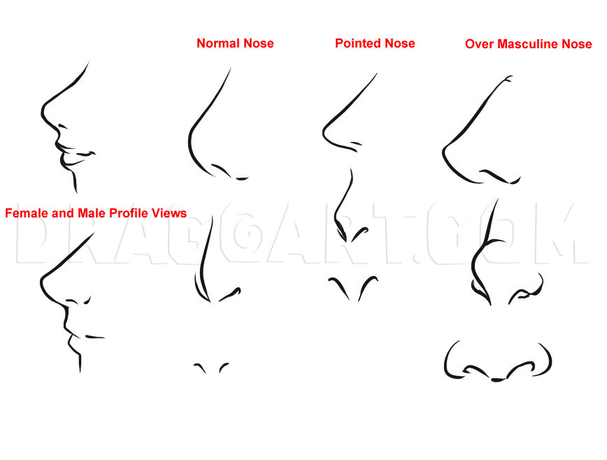 How To Draw Anime Noses Male 4321