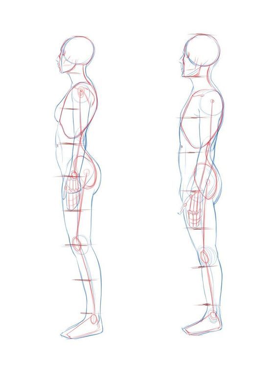 Featured image of post Side Profile Drawing Reference Male