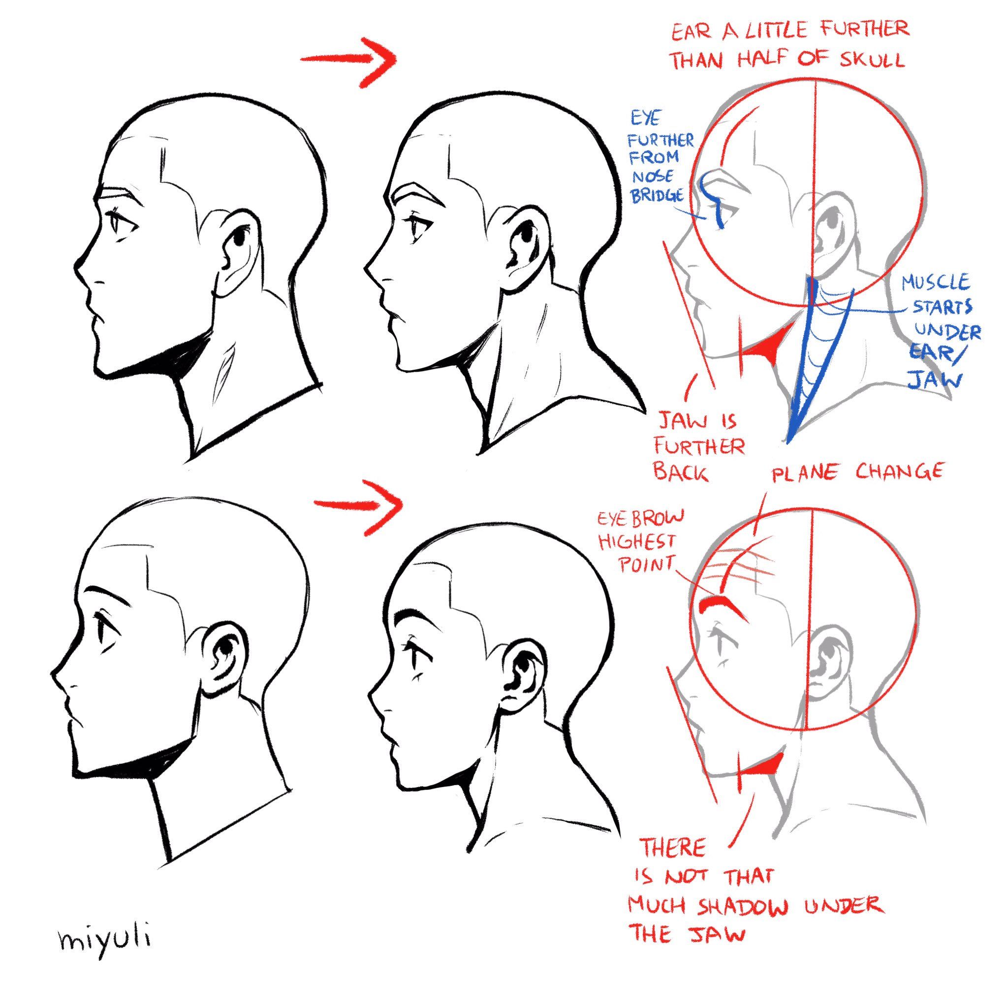 Featured image of post Side Profile Drawing Reference